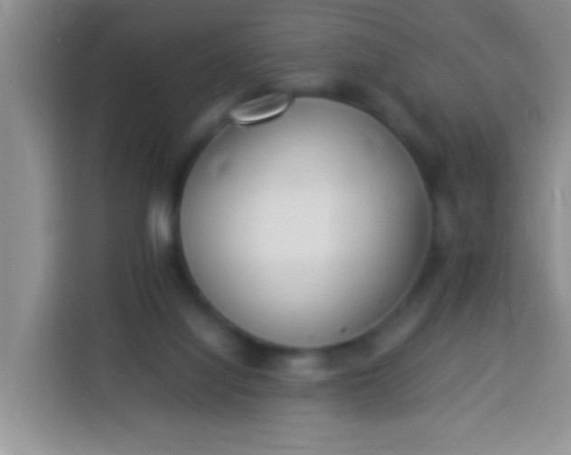 X0000113540068200910021358