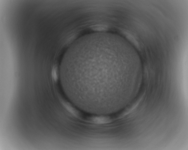 X0000113540069200910021358