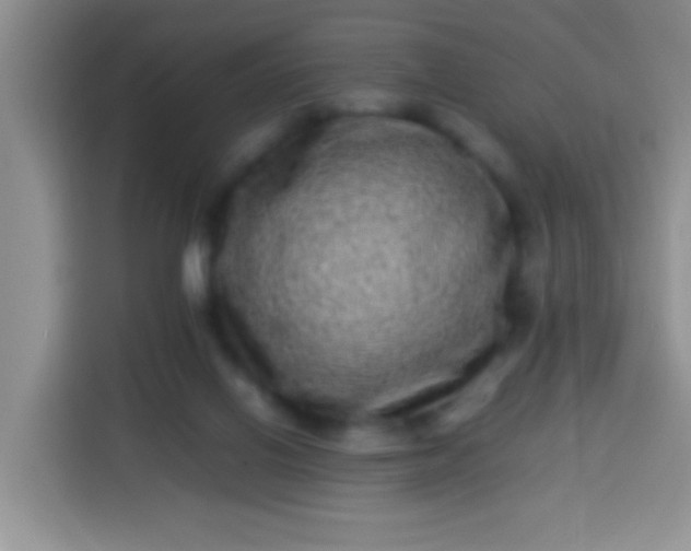 X0000113540070200910021358