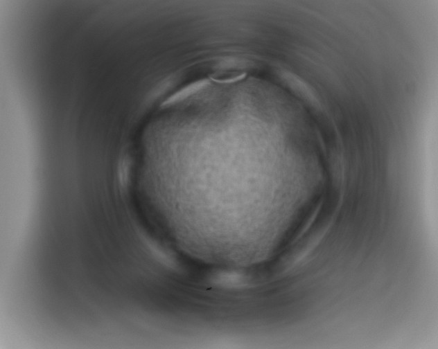 X0000113540071200910021358