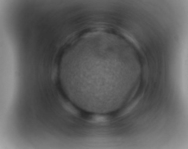 X0000113540073200910021358