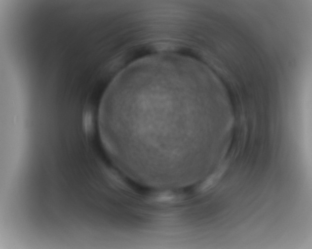 X0000113540074200910021358