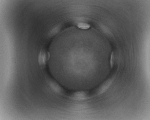 X0000113540076200910021358