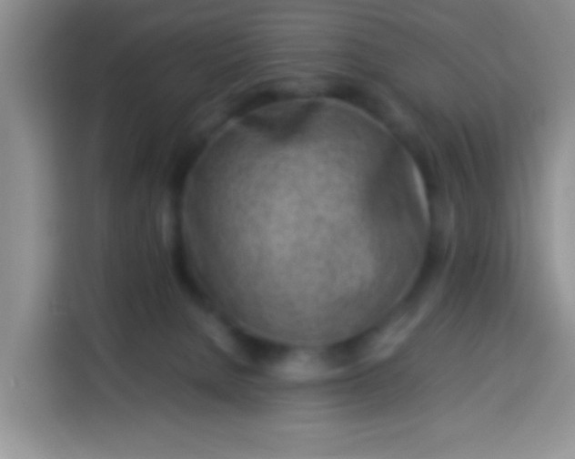 X0000113540080200910021358