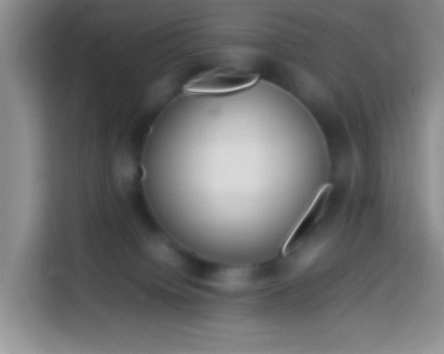 X0000113540084200910021358