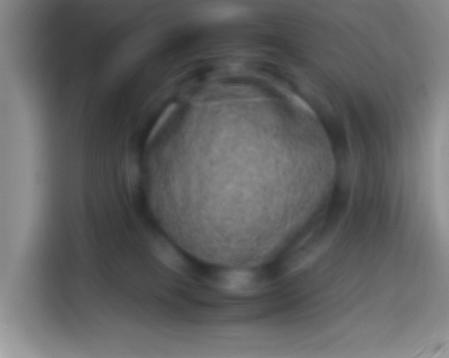 X0000113540085200910021358