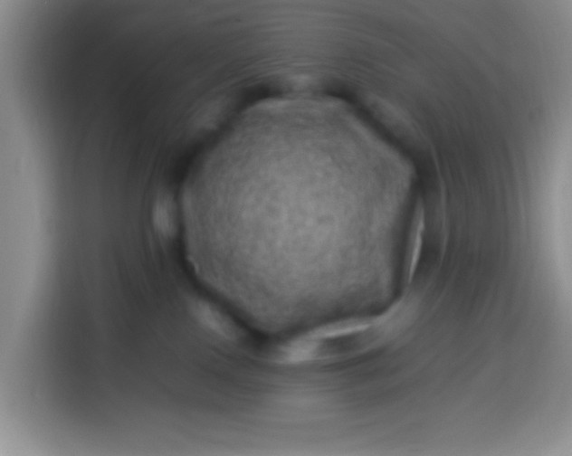 X0000113540090200910021358