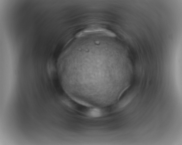 X0000113540091200910021358