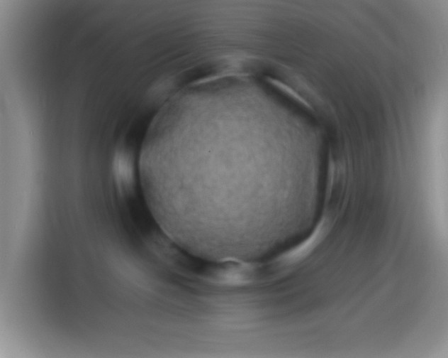 X0000113540094200910021358