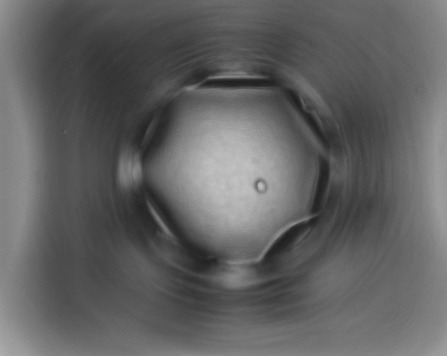 X0000113540095200910021358