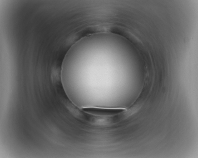 X0000113540096200910021358