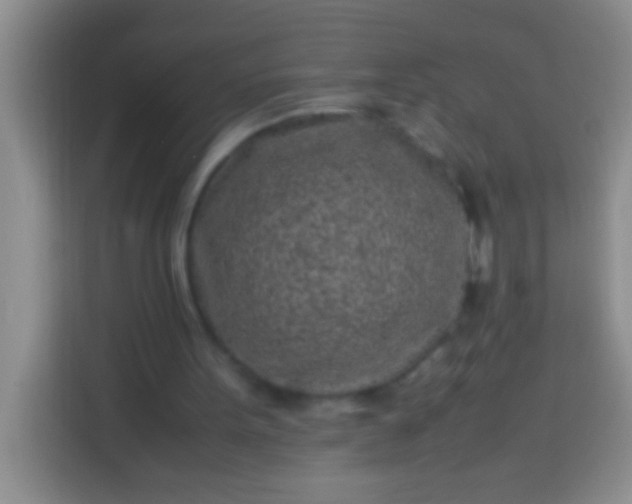 X0000113540099200910021357