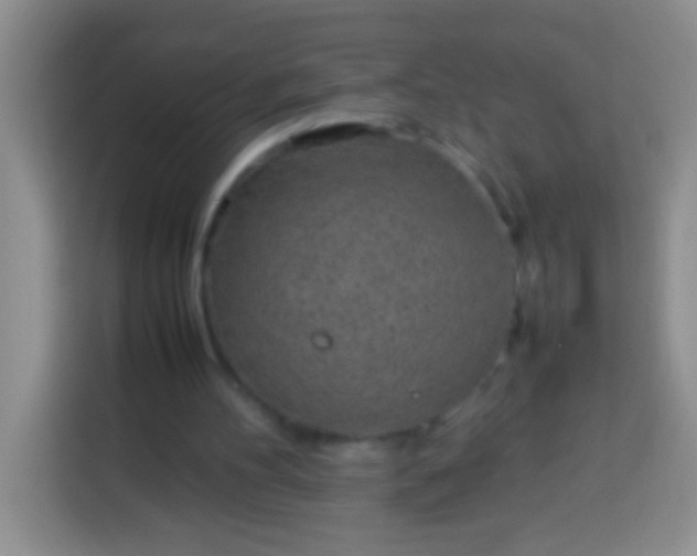 X0000113540100200910021357