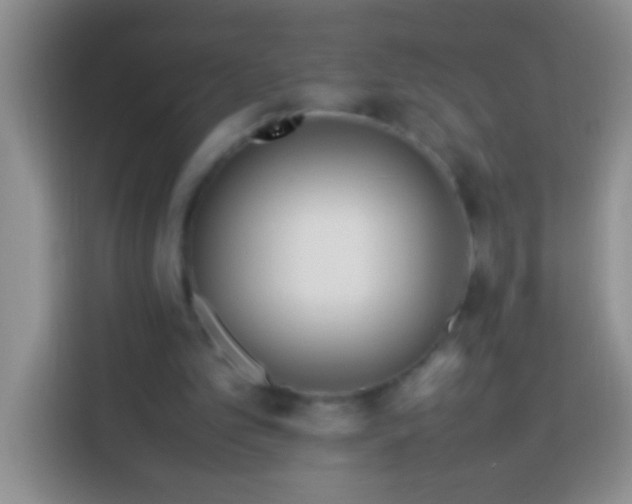 X0000113540101200910021357