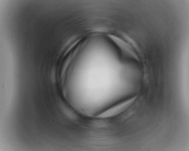 X0000113540106200910021357