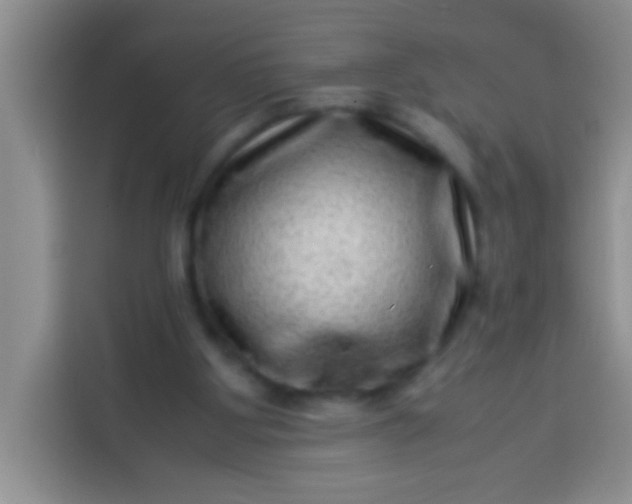 X0000113540107200910021357