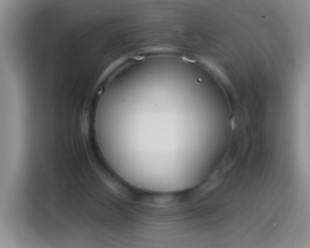 X0000113540108200910021357