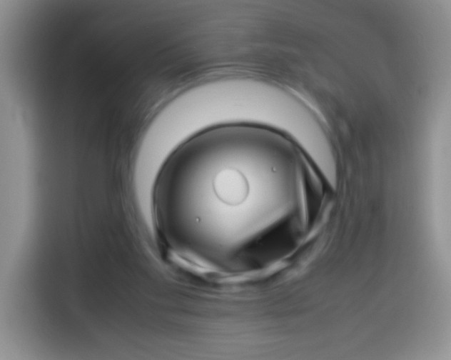 X0000113540109200910021357