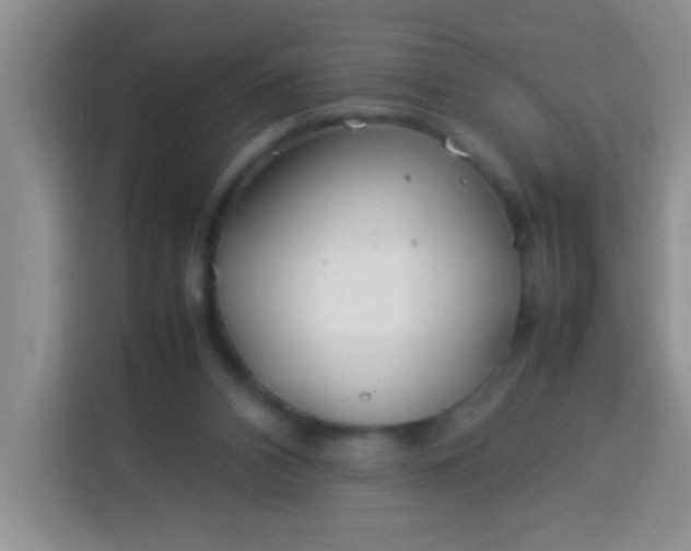 X0000113540112200910021357