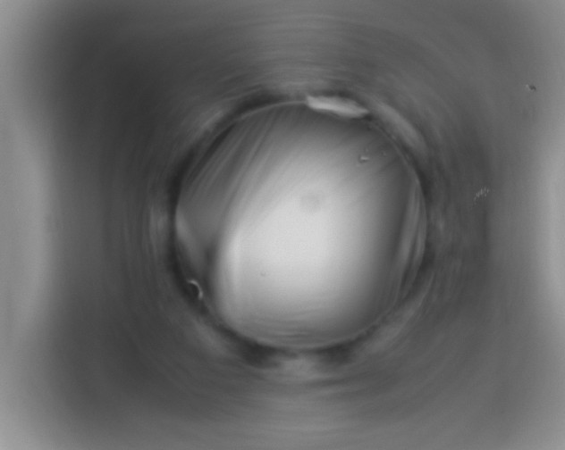 X0000113540113200910021357