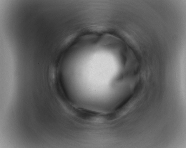 X0000113540115200910021357