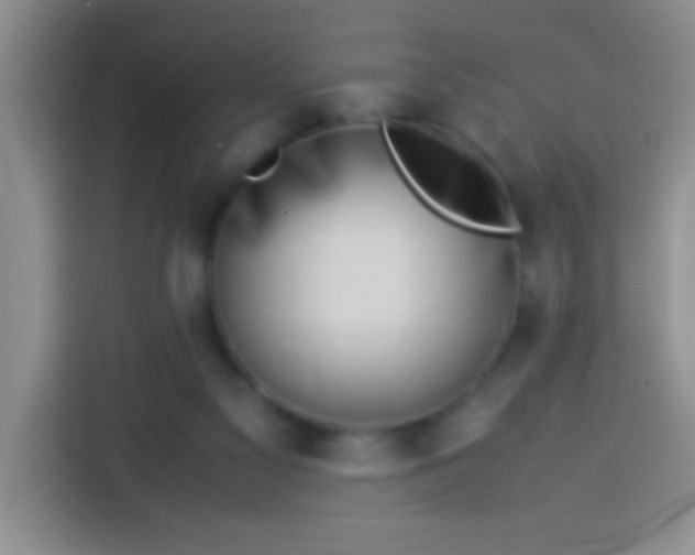 X0000113540117200910021357