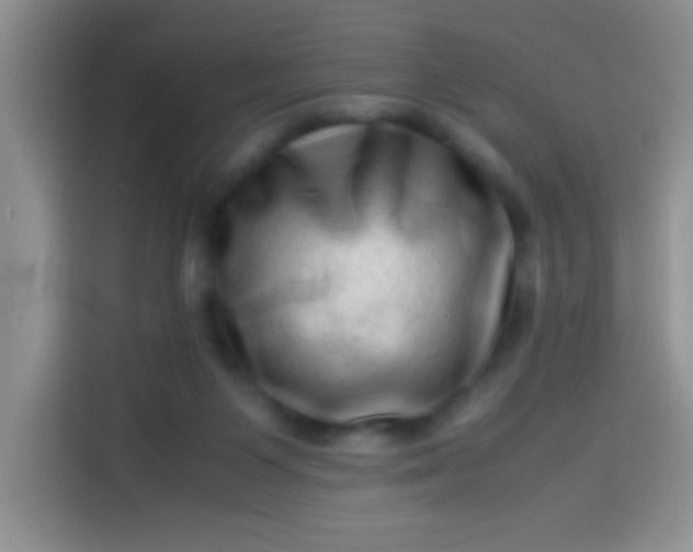 X0000113540119200910021357