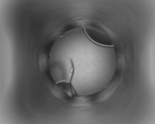 X0000113540121200910021357