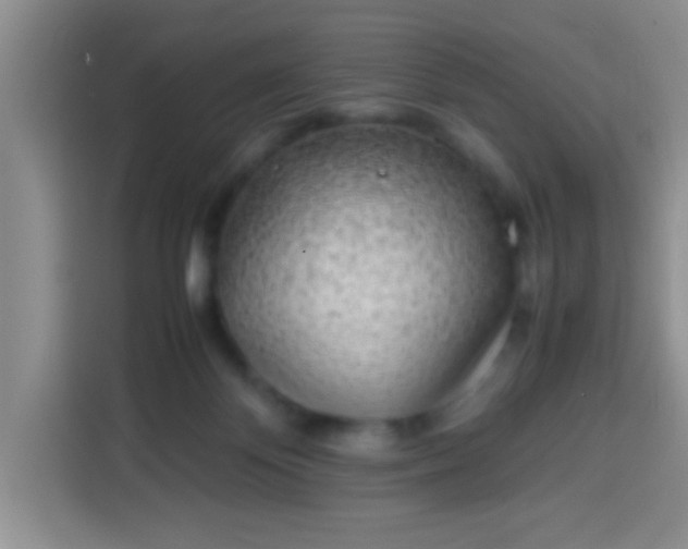 X0000113540124200910021357