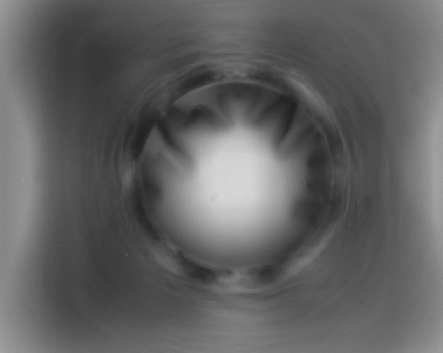 X0000113540125200910021357