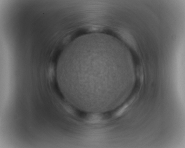 X0000113540127200910021357