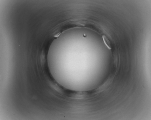 X0000113540128200910021357