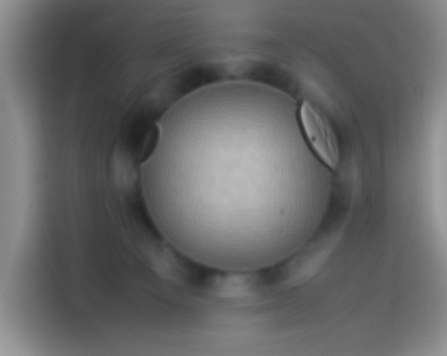 X0000113540129200910021357