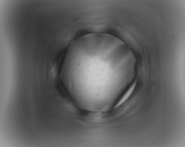 X0000113540131200910021357