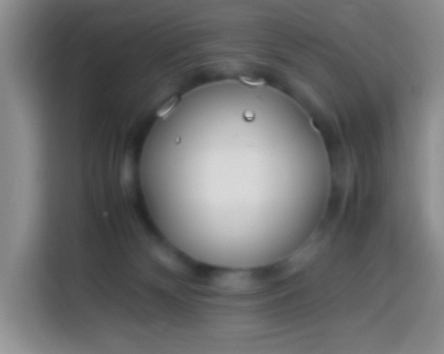 X0000113540132200910021357