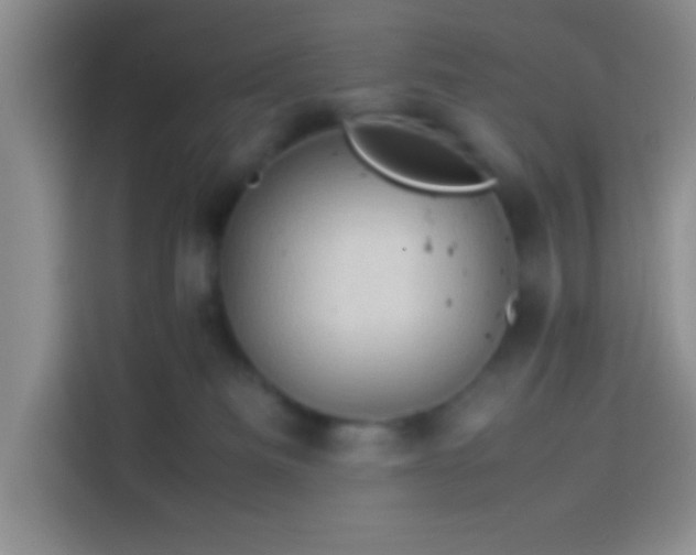 X0000113540133200910021357