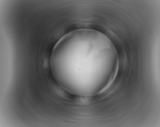 X0000113540134200910021357