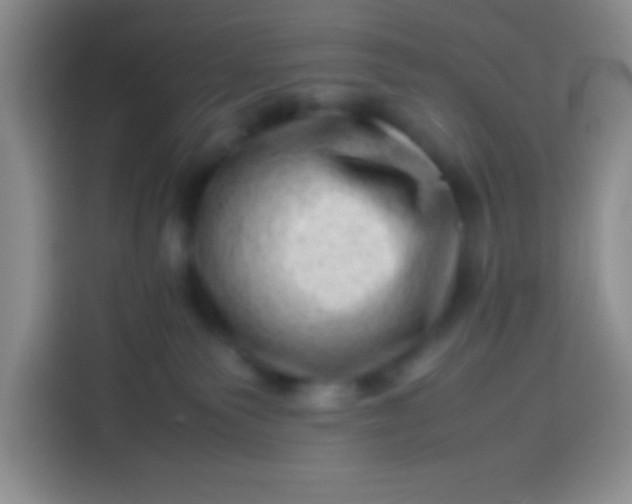 X0000113540135200910021357