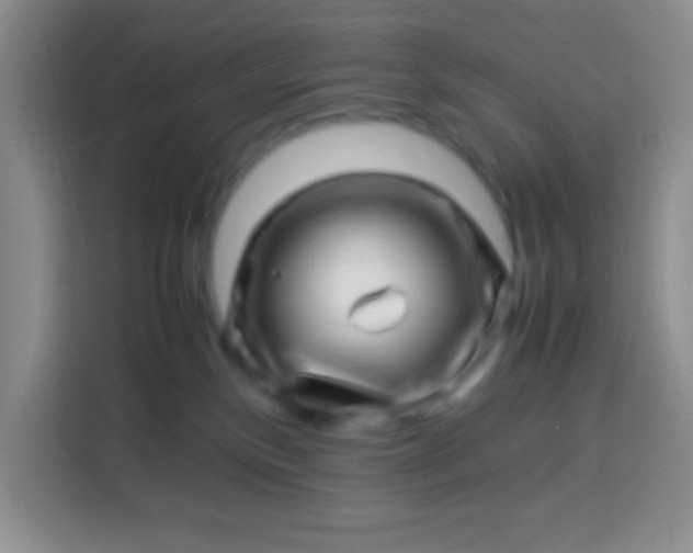 X0000113540136200910021357