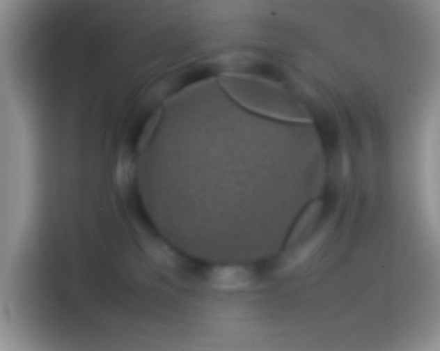 X0000113540137200910021357