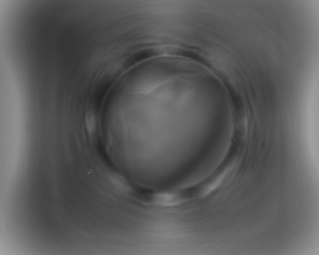 X0000113540139200910021357