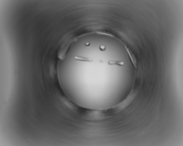 X0000113540140200910021357