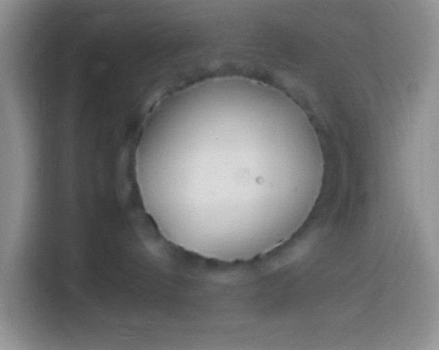 X0000113540144200910021357