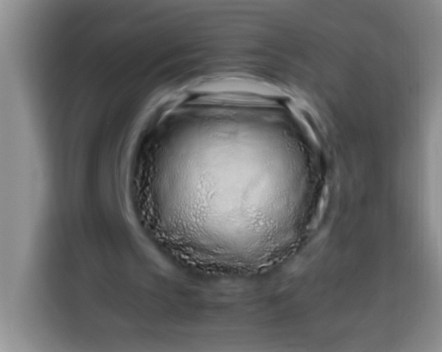 X0000113540145200910021356