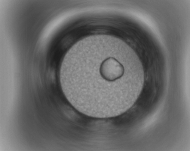 X0000113540146200910021356