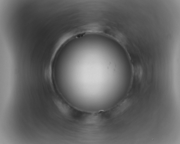 X0000113540148200910021356