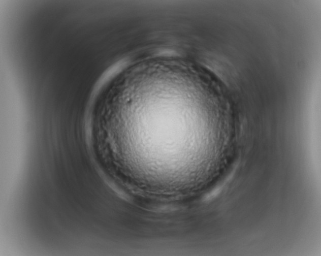 X0000113540149200910021356