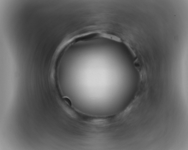 X0000113540150200910021356