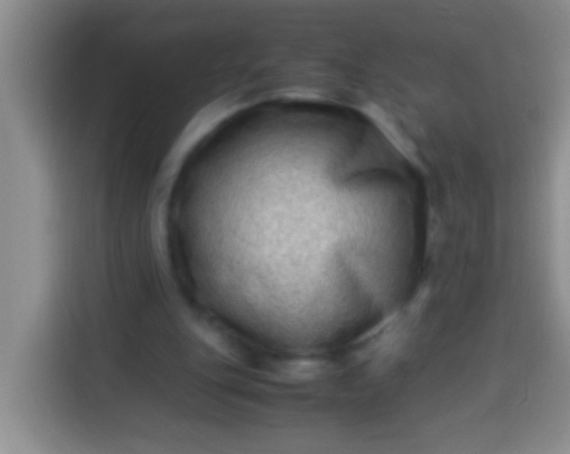 X0000113540151200910021356