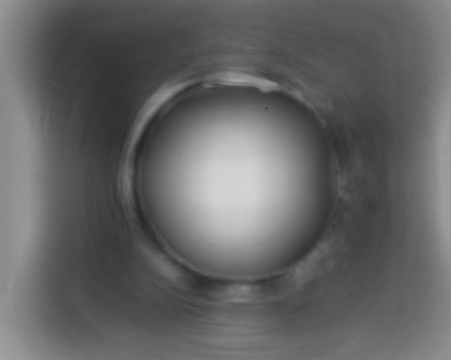 X0000113540152200910021356